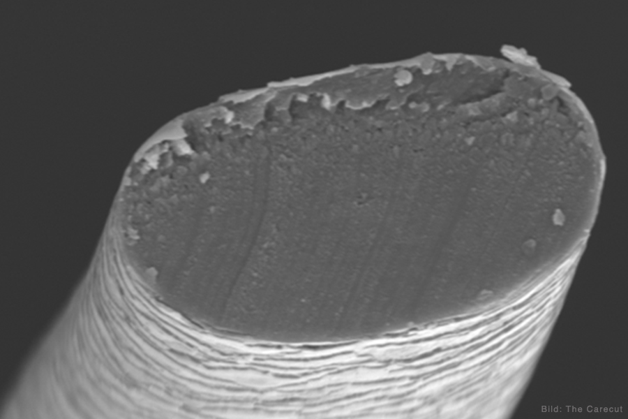 hairlich - Spitzenversiegelung - Mikroskopische Aufnahme - Versiegelte Haarspitze mit Carecut